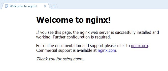 检查nginx是否启动成功