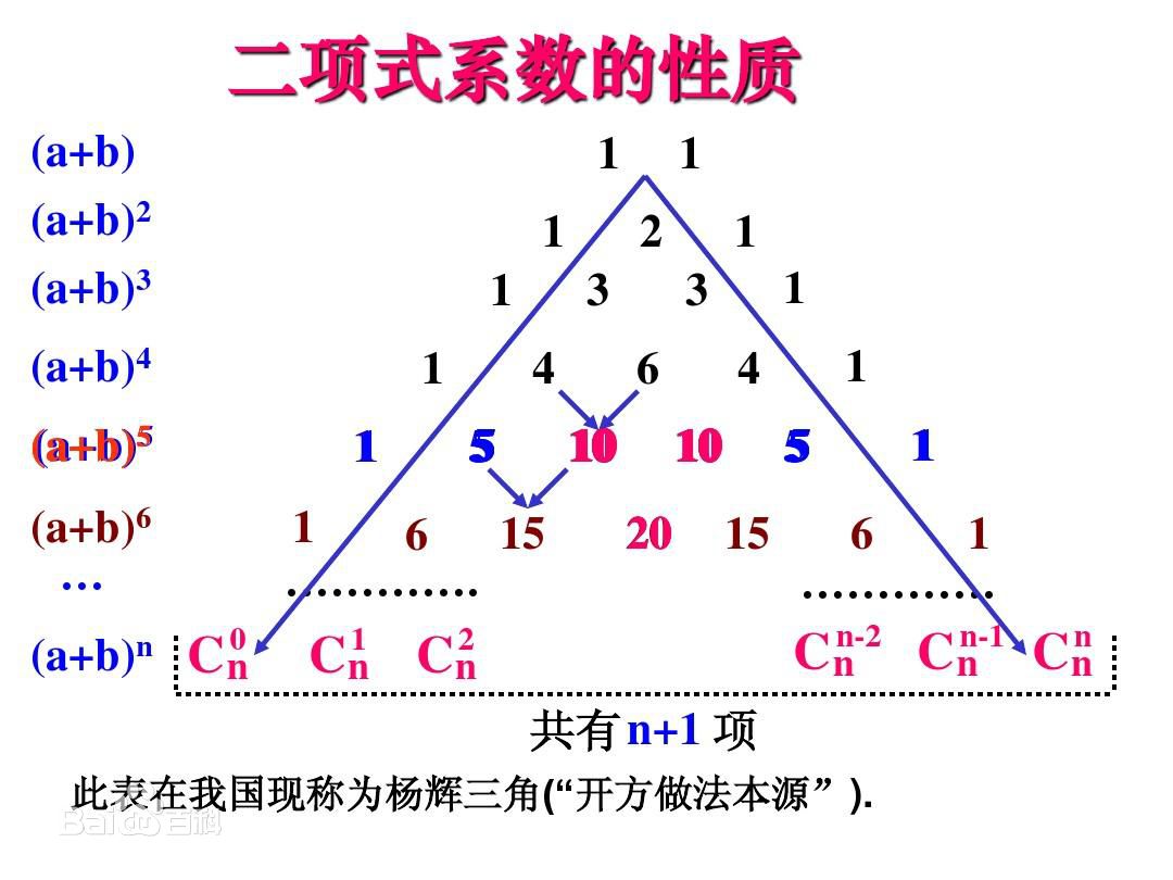 杨辉三角的规律总结图片