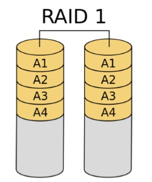 RAID1