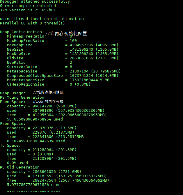 查看java内存情况的几个常用命令第8张