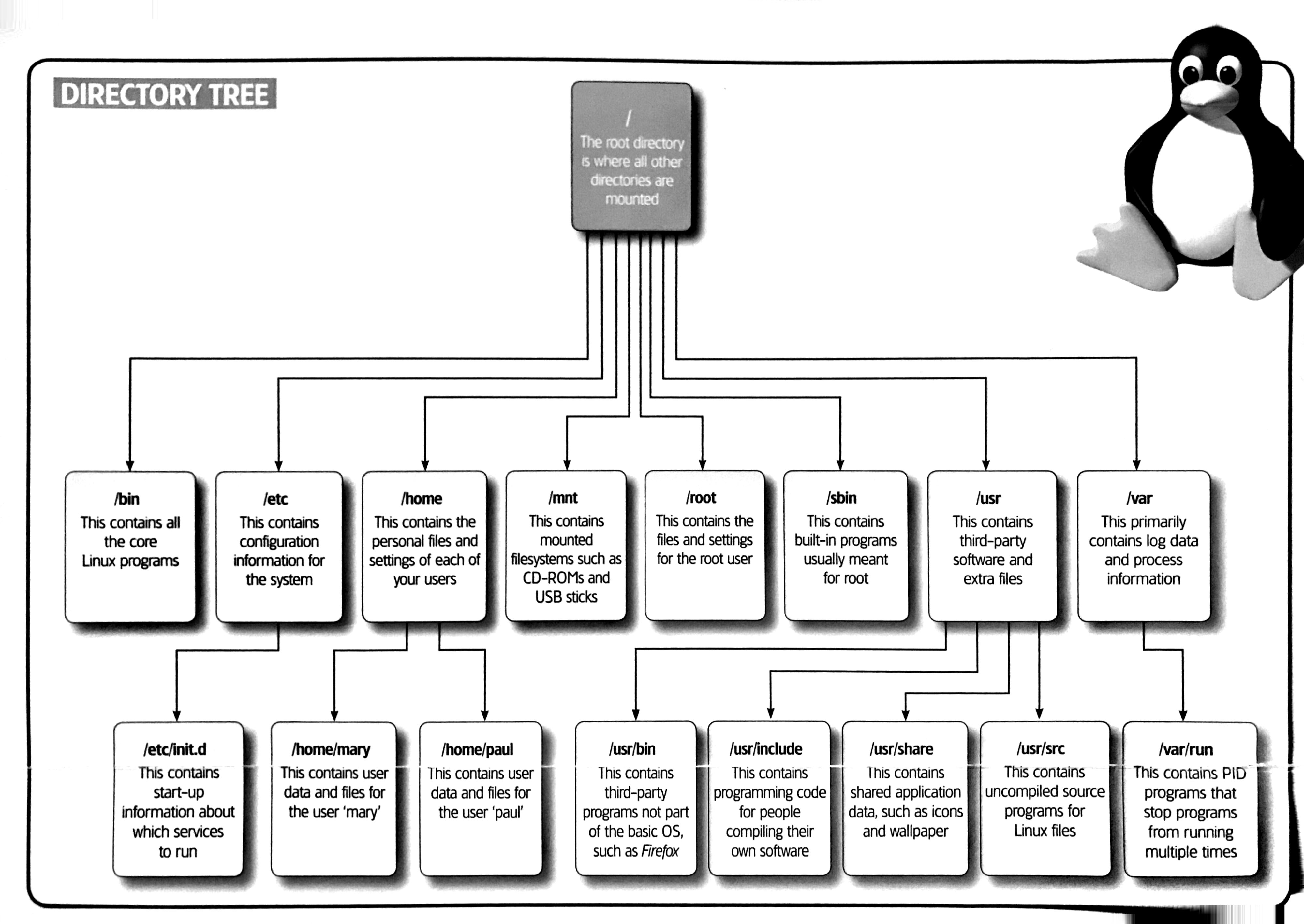 Linux磁盘管理——directory tree与mount point 