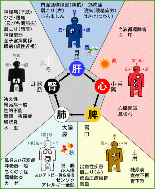 心主喜 肝主怒 肺主悲 脾主思 肾主恐 宝宝合凤凰 博客园