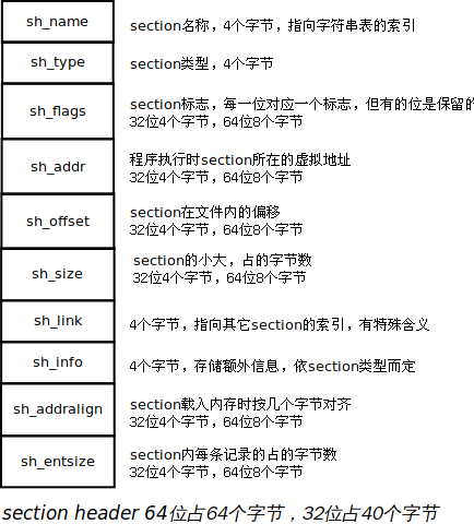 ELF section header结构体