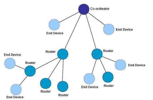 TreeTopology