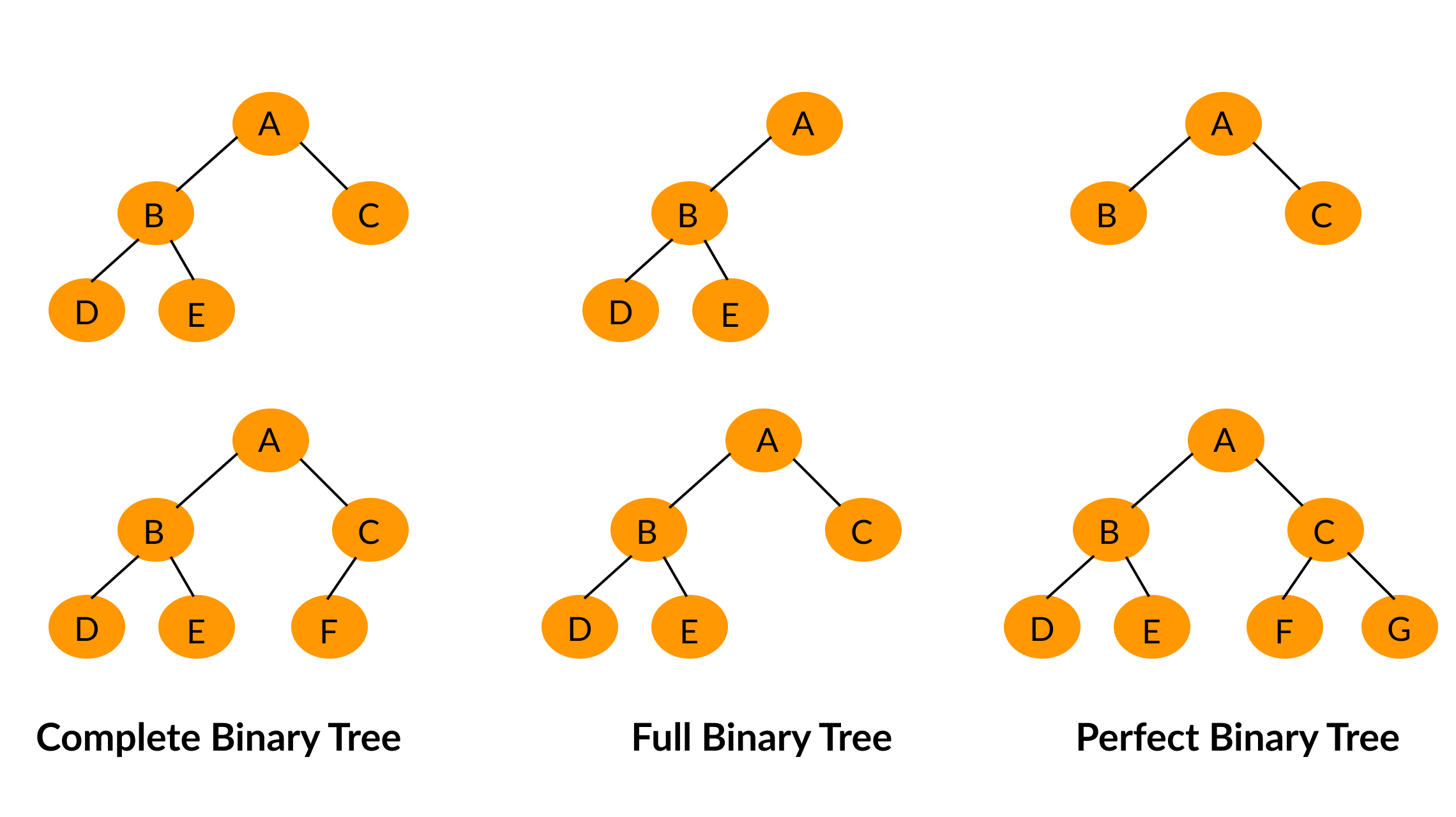 binary-tree-sunsky303