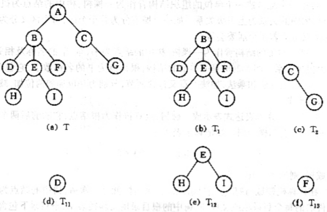 数据结构（一）树第1张