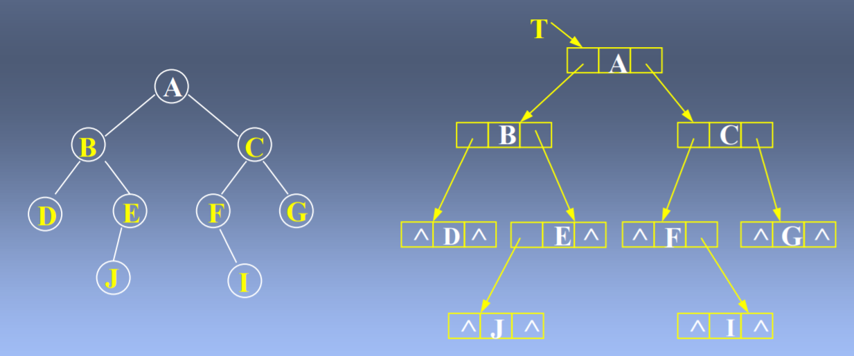 数据结构（一）树第8张