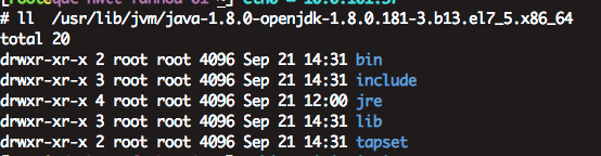 yum install openjdk