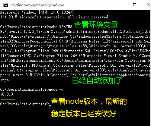 windows手动安装npm教程 即vue第10张