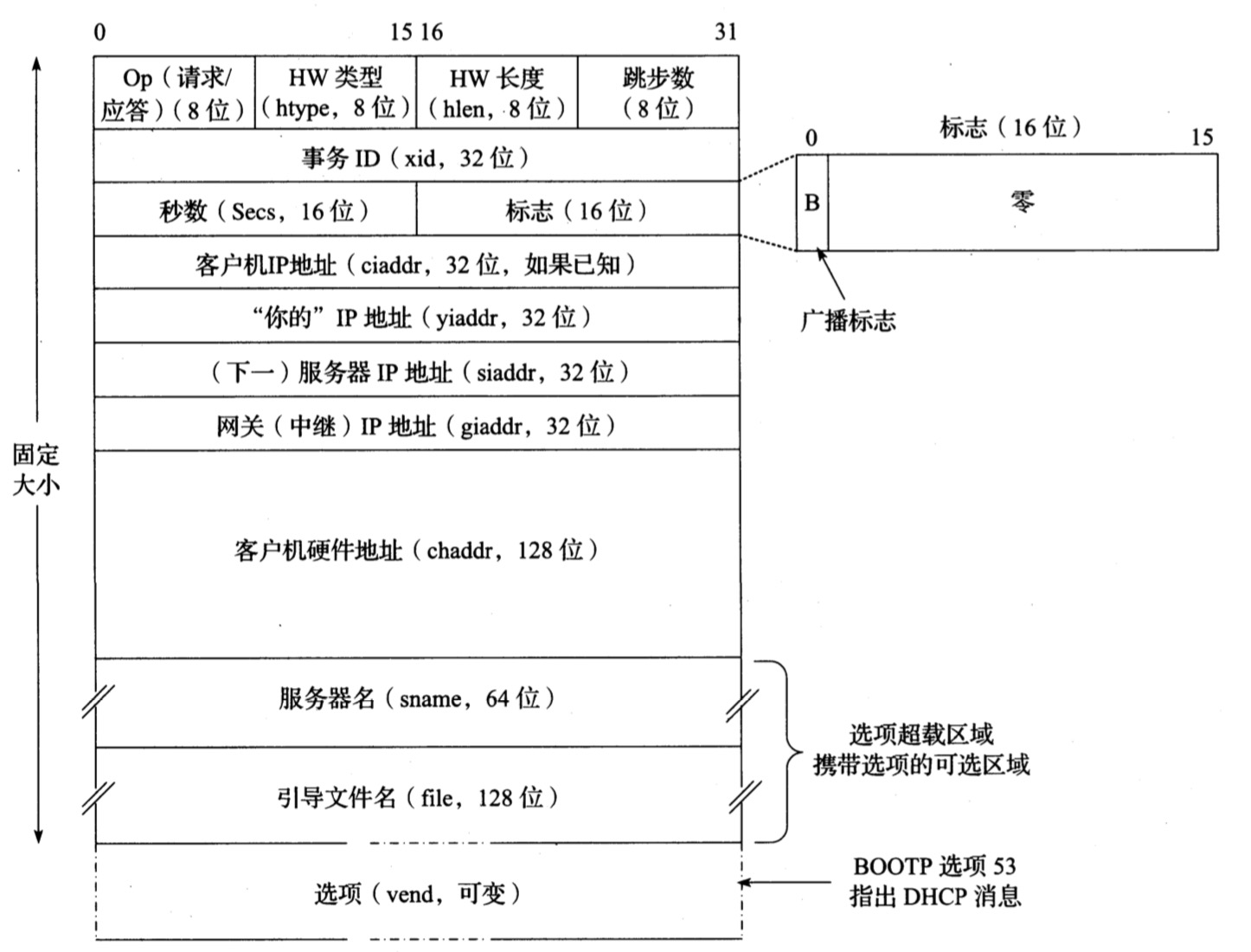 DHCP消息格式