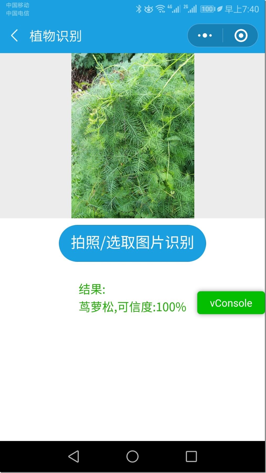 小特Jarvis-植物识别