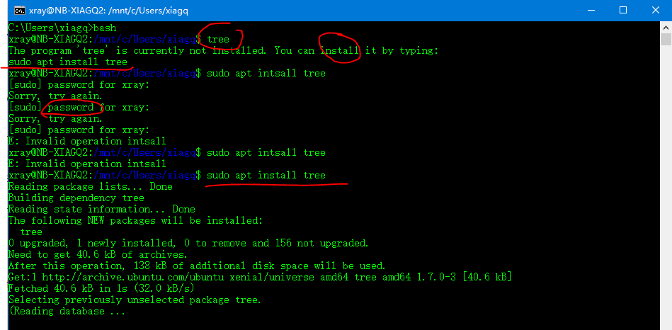 cmd c drive tree