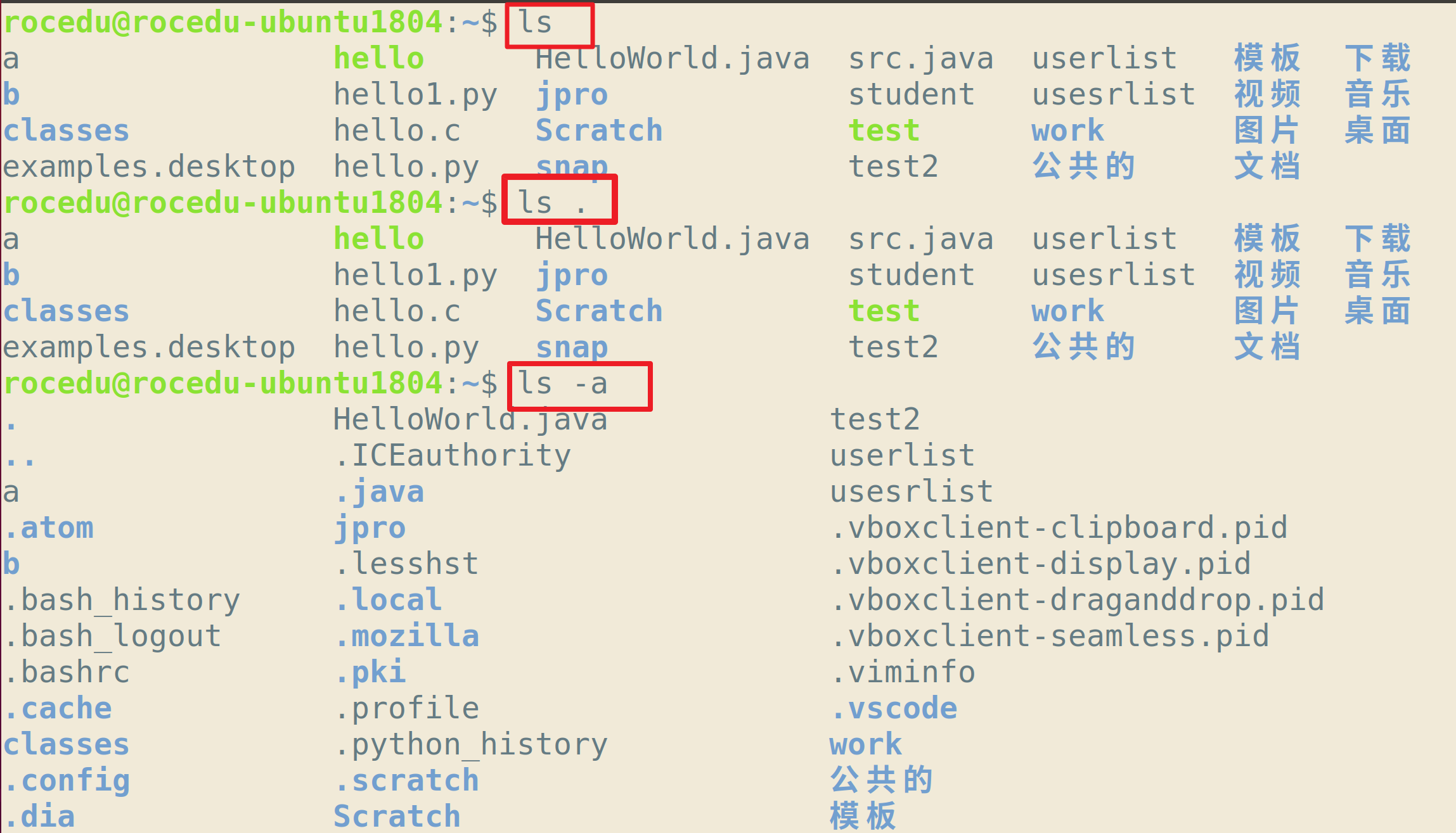 别出心裁的linux命令学习法 娄老师 博客园