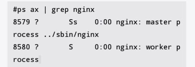 2.4 Nginx服务器基础配置指令第2张