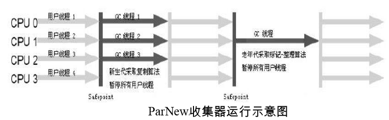 ParNew收集器