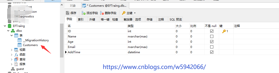 ef data annotations