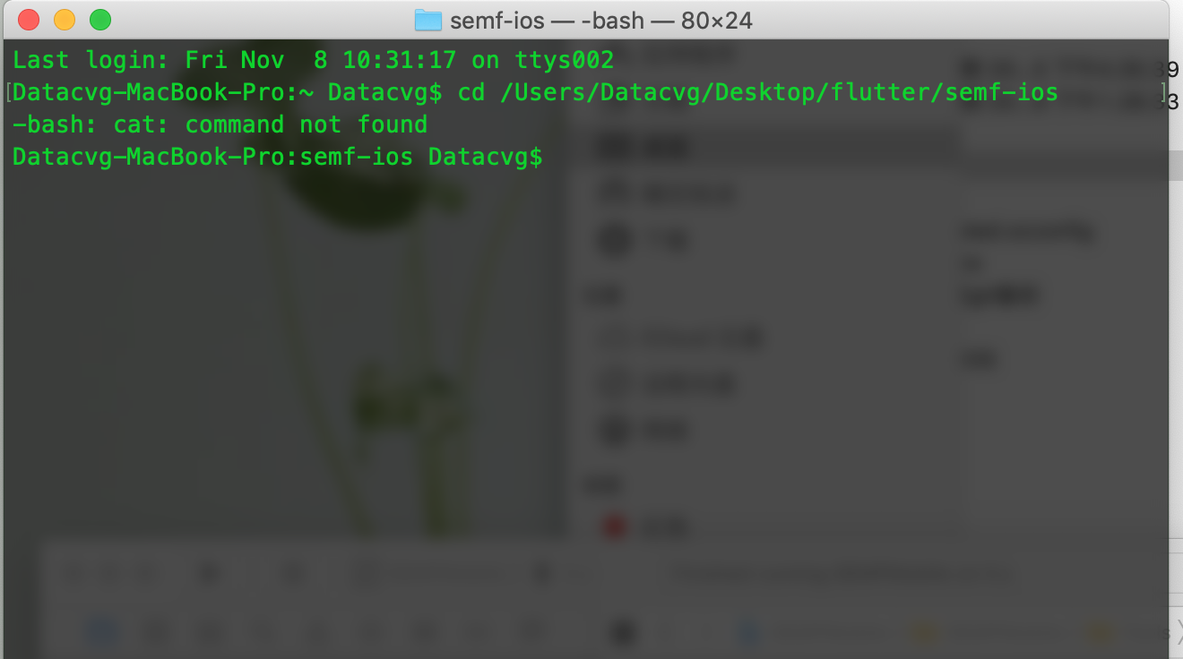 配置.bash_profile文件 导致大量命令失效 报错信息-bash: xxx: command not found第1张