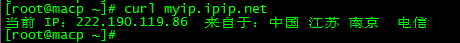 查询Linux服务器出口IP、curl命令查询Linux公网出口IP、Windows服务器查询出口IP第1张