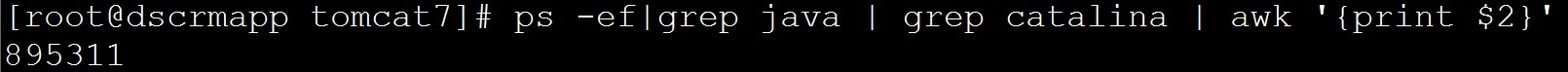【linux】linux下准确查询正在tomcat下运行的java进程。准确获取正在运行的java进程的PID第2张
