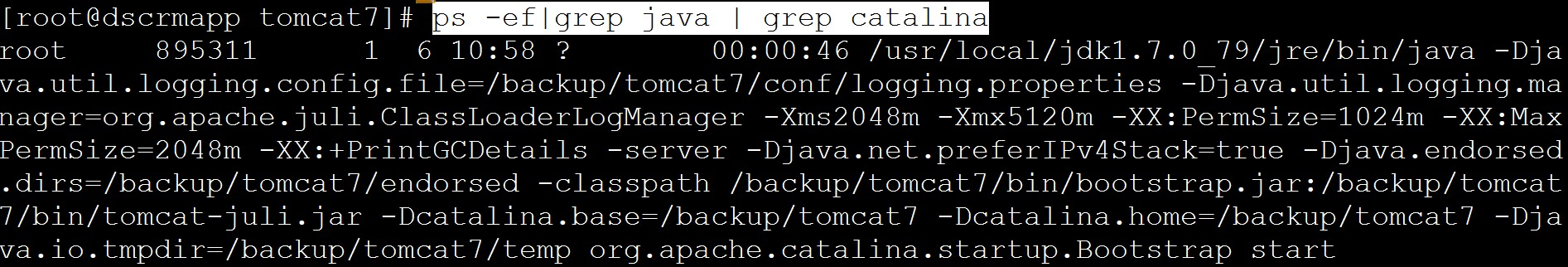 【linux】linux下准确查询正在tomcat下运行的java进程。准确获取正在运行的java进程的PID第3张
