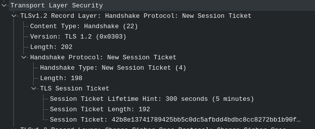 [tls][https][nginx] https的client session cache与session ticket机制分析第7张