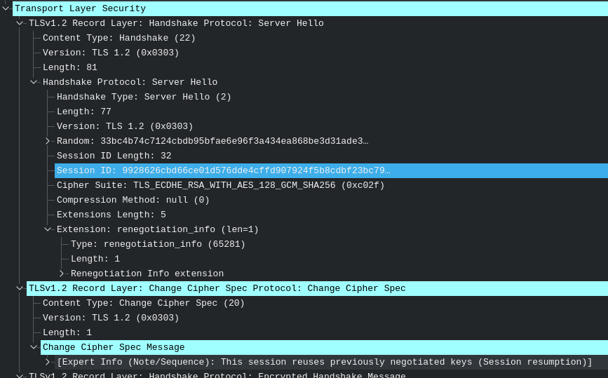 [tls][https][nginx] https的client session cache与session ticket机制分析第8张