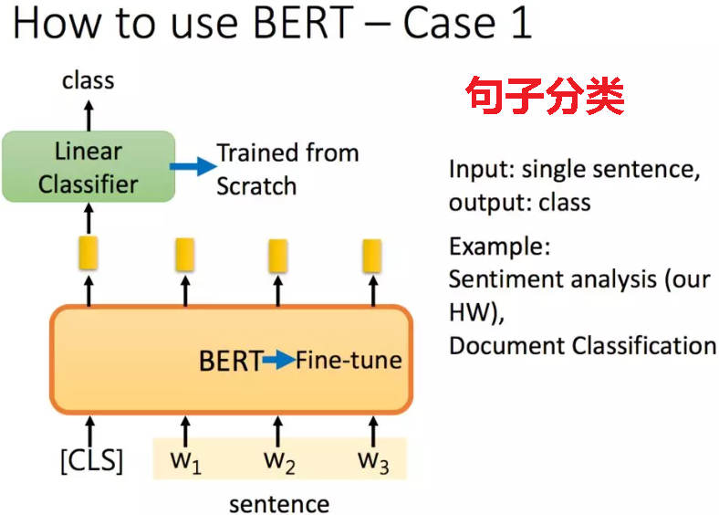 bert模型