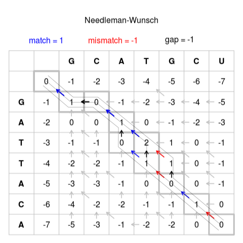 字符串与模式匹配算法（六）：Needleman–Wunsch算法第1张