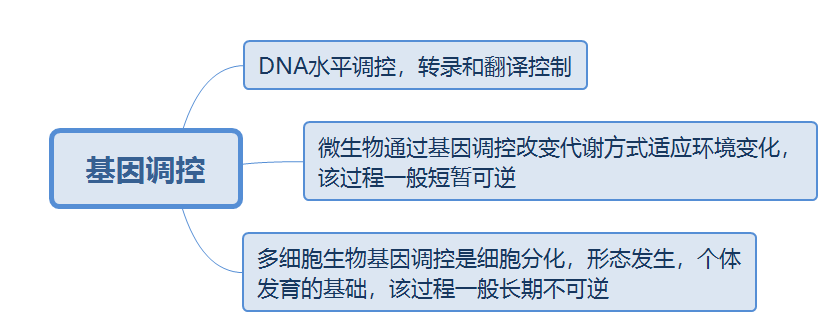 <span role="heading" aria-level="2">基因调控网络 (Gene Regulatory Network) 01