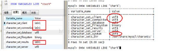 使用Navicat客户端运行SQL语句出现中文乱码第1张