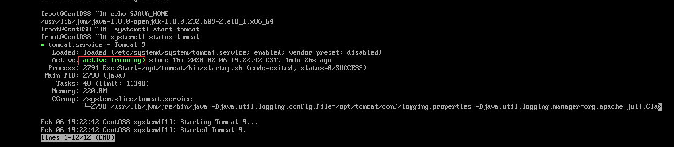 CentOS8安装Tomcat9，启动失败 