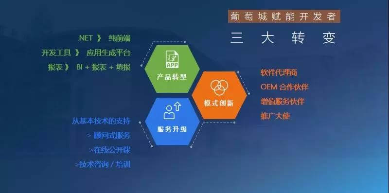 葡萄城赋能开发者的三大转变