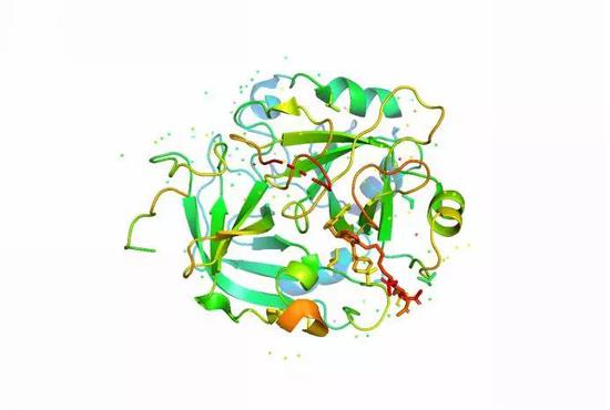 蛋白三维结构图图片