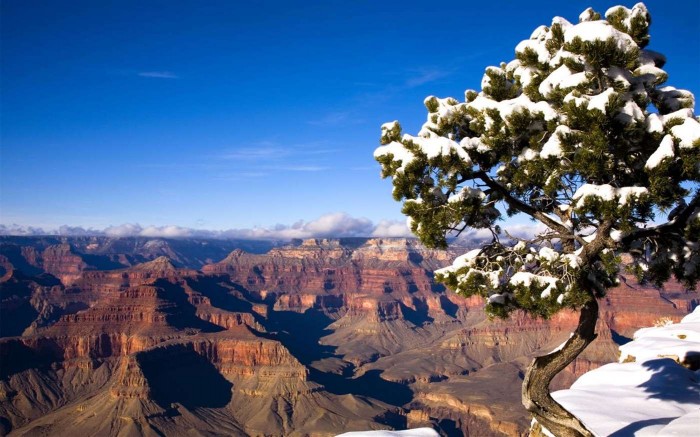 grand-canyons-6.jpg
