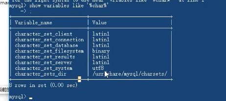 33.Docker安装Mysql及用户配置 