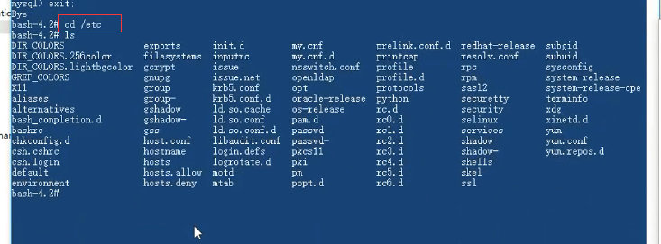 33.Docker安装Mysql及用户配置 