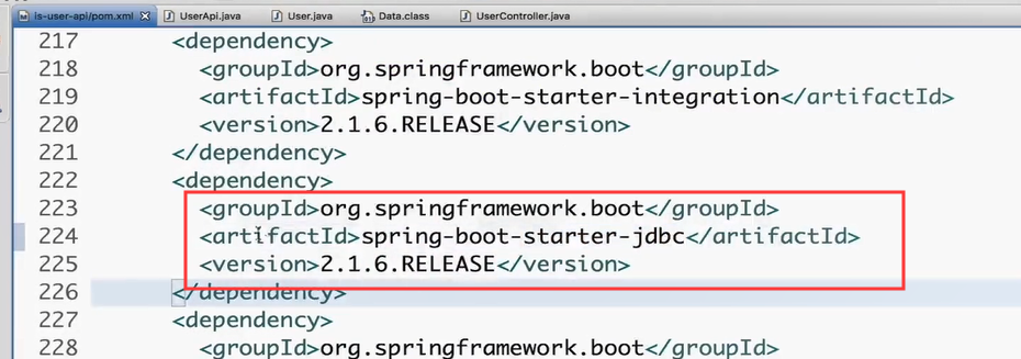 spring boot 219